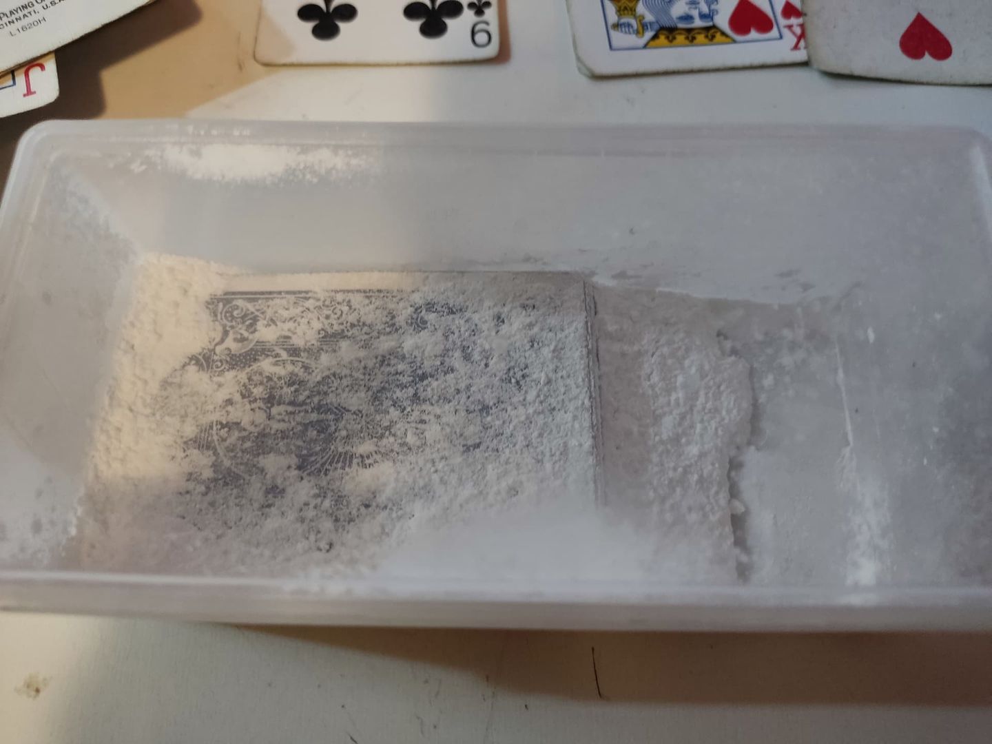 IMG_20230813_124109|666x500